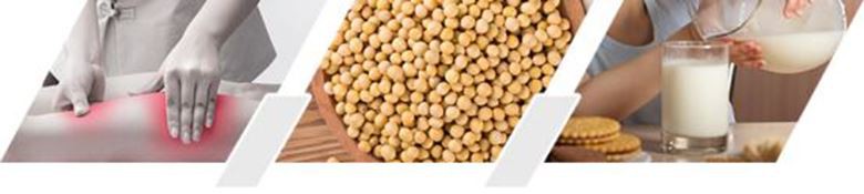 Soy Peptide