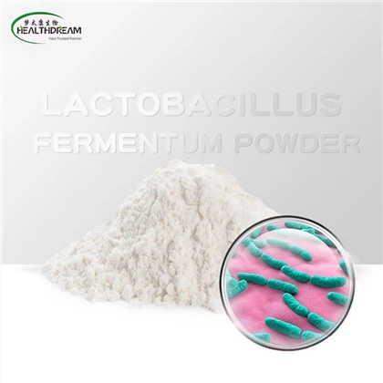 Lactobacillus Fermentum Pulver